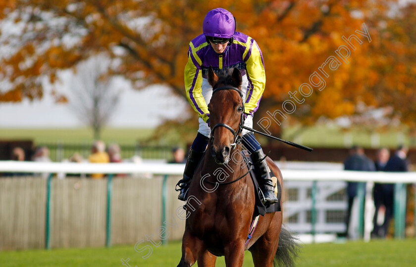 Zaraquelle-0002 
 ZARAQUELLE (Daniel Muscutt)
Newmarket 23 Oct 2024 - Pic Steven Cargill / Racingfotos.com