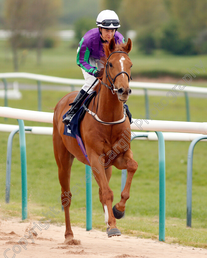 Farhhmoreexciting-0001 
 FARHHMOREEXCITING (Hayley Turner)
Southwell 29 Apr 2019 - Pic Steven Cargill / Racingfotos.com