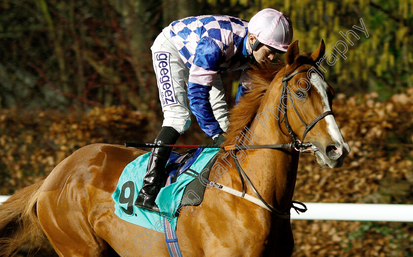 Target-Zone-0001 
 TARGET ZONE (David Probert) winner of The 32Red On The App Store Maiden Stakes
Kempton 16 Jan 2019 - Pic Steven Cargill / Racingfotos.com