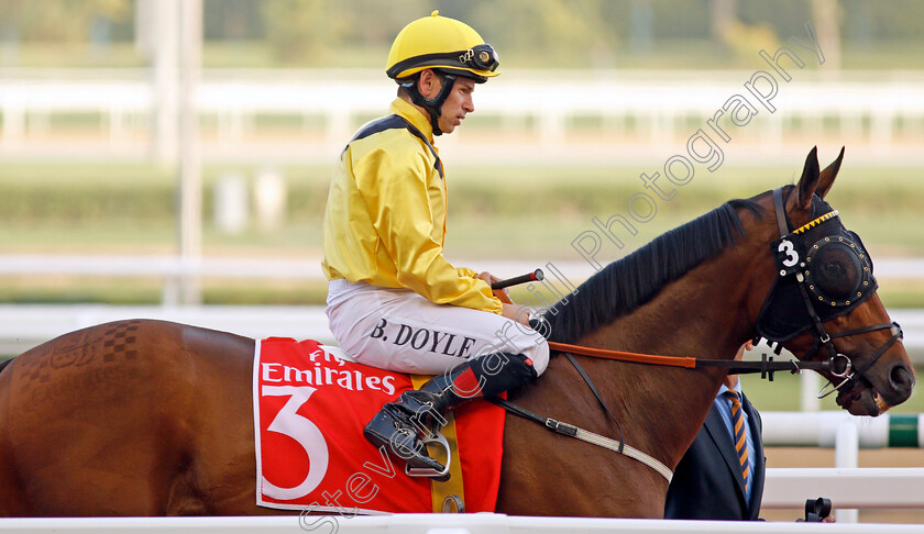 Top-Clearance-0001 
 TOP CLEARANCE (Brett Doyle) Meydan 10 Mar 2018 - Pic Steven Cargill / Racingfotos.com