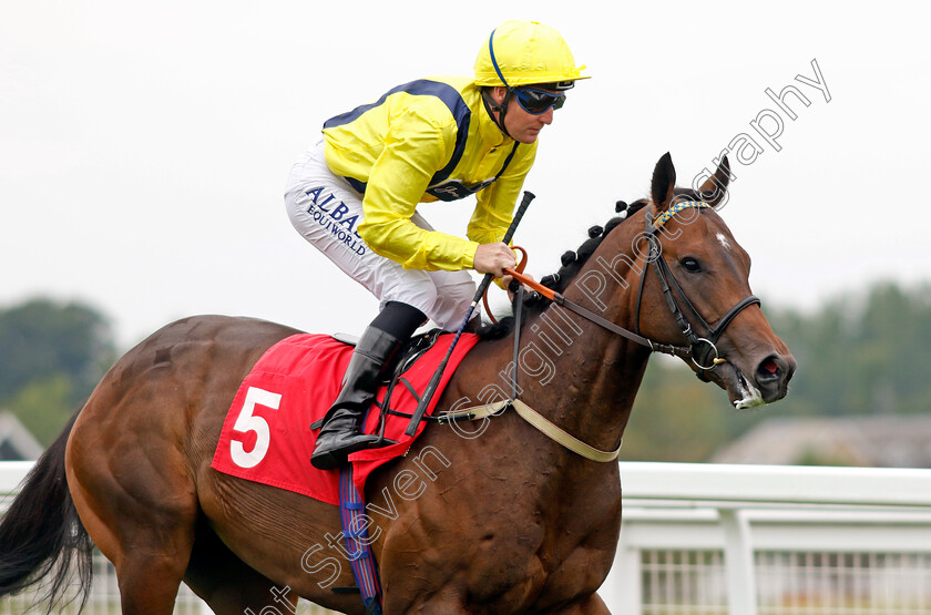 Buy-The-Dip 
 BUY THE DIP (Pat Cosgrave)
Sandown 21 Jul 2022 - Pic Steven Cargill / Racingfotos.com