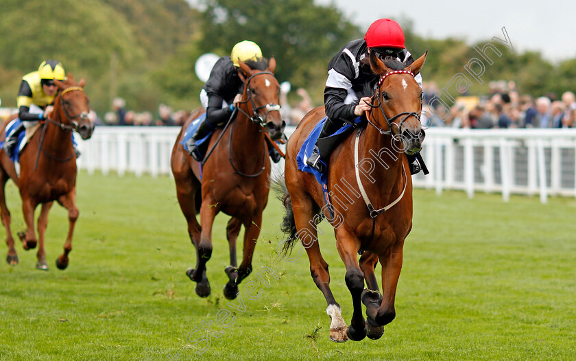 Herecomesthesun-0006 
 HERECOMESTHESUN (right, Edward Greatrex) wins The British EBF Quidhampton Maiden Fillies Stakes Div1 Salisbury 7 Sep 2017 - Pic Steven Cargill / Racingfotos.com