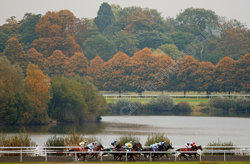 Kempton-0002 
 winner MOOLAZIM (yellow, James Doyle) in mid division down the back straight in The ROA Racing Post Owners Jackpot Handicap Kempton 25 Sep 2017 - Pic Steven Cargill / Racingfotos.com