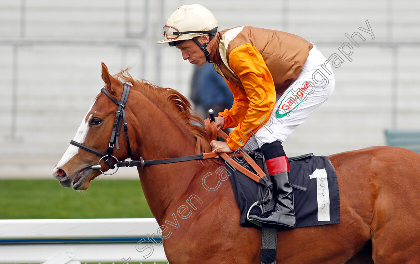 Michaela s-Boy 
 MICHAELA'S BOY (Shane Kelly)
Ascot 27 Apr 2022 - Pic Steven Cargill / Racingfotos.com