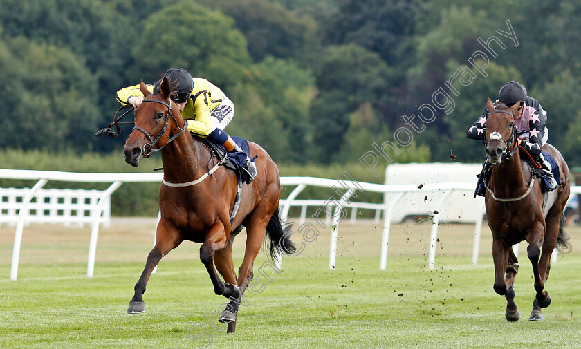 Solesmes-0001 
 SOLESMES (David Egan) wins The 188bet Live Casino Claiming Stakes
Lingfield 25 Jul 2018 - Pic Steven Cargill / Racingfotos.com