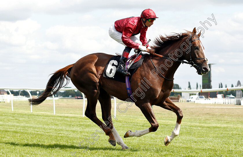 Sky-Eagle-0001 
 SKY EAGLE (Gerald Mosse)
Newbury 17 Aug 2018 - Pic Steven Cargill / Racingfotos.com