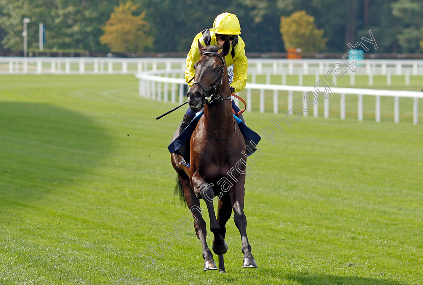 Moyassr-0001 
 MOYASSR (Jim Crowley)
Ascot 8 Sep 2023 - Pic Steven Cargill / Racingfotos.com