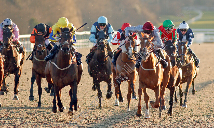 Noble-Peace-0002 
 NOBLE PEACE (left, David Probert) beats AL DAIHA (right) in The Play 4 To Score At Betway Handicap
Lingfield 10 Jan 2020 - Pic Steven Cargill / Racingfotos.com