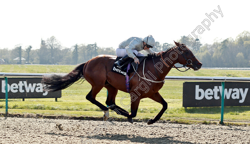 Matterhorn-0008 
 MATTERHORN (Joe Fanning) beats Betway Easter Classic All-Weather Middle Distance Championships Stakes
Lingfield 19 Apr 2019 - Pic Steven Cargill / Racingfotos.com