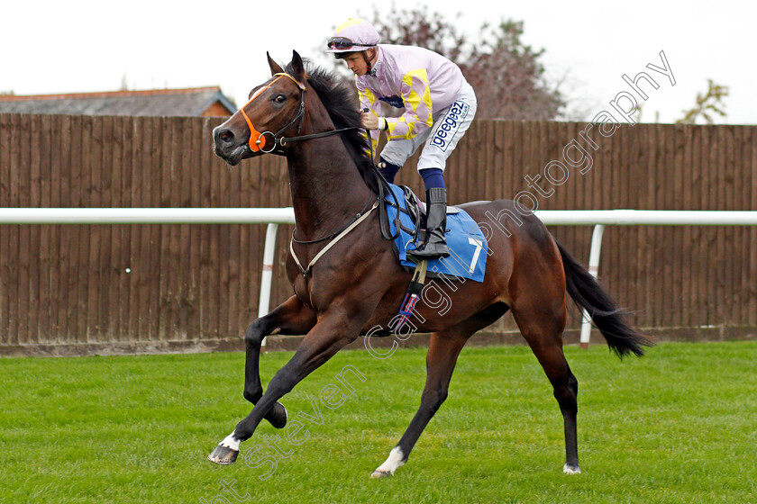 Mystery-Monarch 
 MYSTERY MONARCH (David Probert)
Leicester 12 Oct 2021 - Pic Steven Cargill / Racingfotos.com