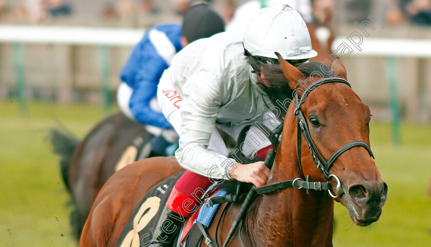 King-Leonidas-0007 
 KING LEONIDAS (Frankie Dettori) wins The Coates & Seely Blanc De Blancs Novice Stakes Div1
Newmarket 23 Oct 2019 - Pic Steven Cargill / Racingfotos.com