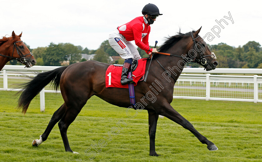 Ace-Rothstein-0001 
 ACE ROTHSTEIN (Hollie Doyle)
Sandown 23 Aug 2020 - Pic Steven Cargill / Racingfotos.com