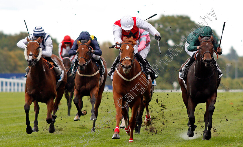 Just-Glamorous-0002 
 JUST GLAMOROUS (centre, Oisin Murphy) beats MIRZA (left) and SIR ROBERT CHEVAL (right) in The Hope And Homes For Children Rous Stakes Ascot 7 Oct 2017 - Pic Steven Cargill / Racingfotos.com