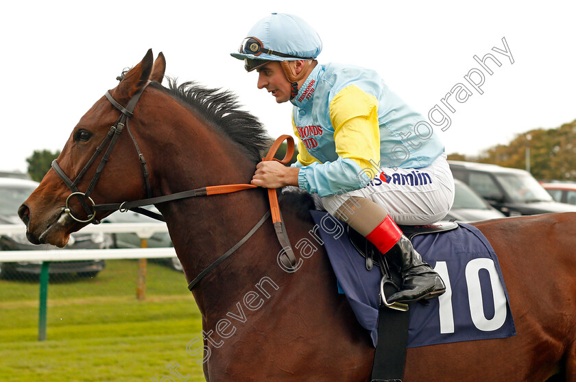 Qazyna-0001 
 QAZYNA (Andrea Atzeni) Yarmouth 24 Oct 2017 - Pic Steven Cargill / Racingfotos.com