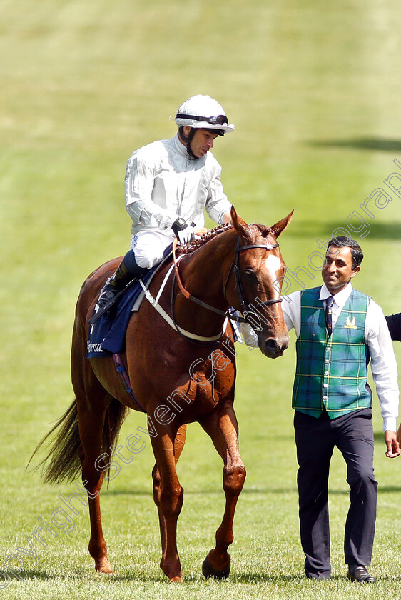 Communique-0010 
 COMMUNIQUE (Silvestre De Sousa) after The Princess Of Wales's Stakes
Newmarket 11 Jul 2019 - Pic Steven Cargill / Racingfotos.com