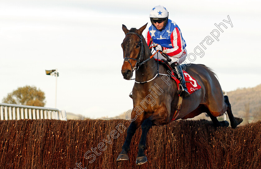 Special-Tiara-0002 
 SPECIAL TIARA (Noel Fehily) Cheltenham 19 Nov 2017 - Pic Steven Cargill / Racingfotos.com