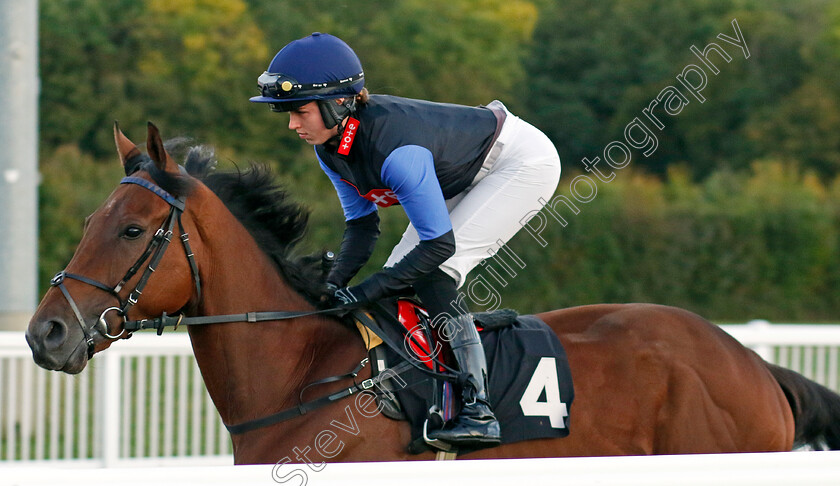 Kranjcar-0001 
 KRANJCAR (Grace McEntee)
Chelmsford 3 Oct 2024 - Pic Steven Cargill / Racingfotos.com