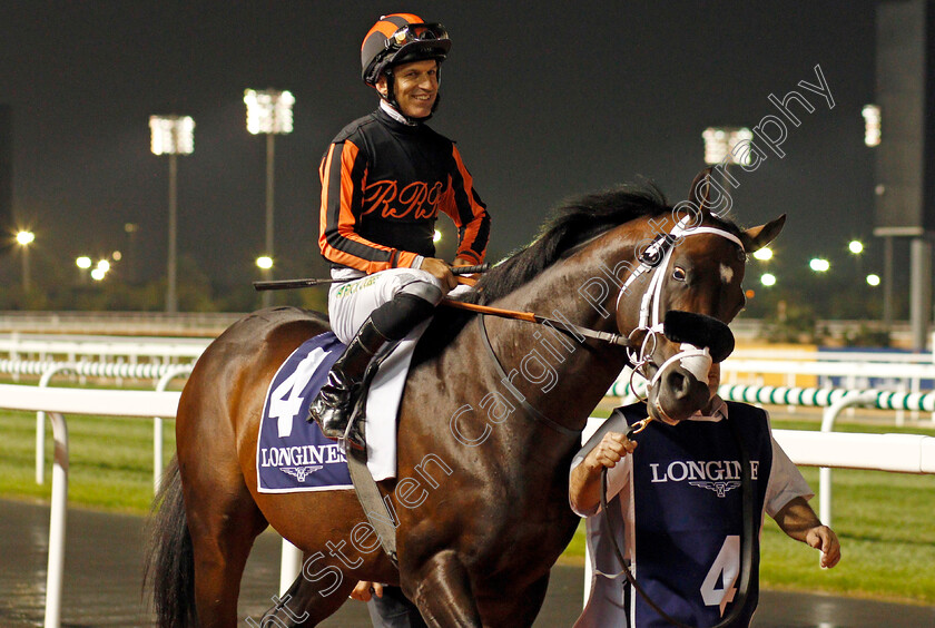 Kimbear-0001 
 KIMBEAR (Pat Dobbs) before The Al Maktoum Challenge (Round 1)
Meydan 9 Jan 2020 - Pic Steven Cargill / Racingfotos.com