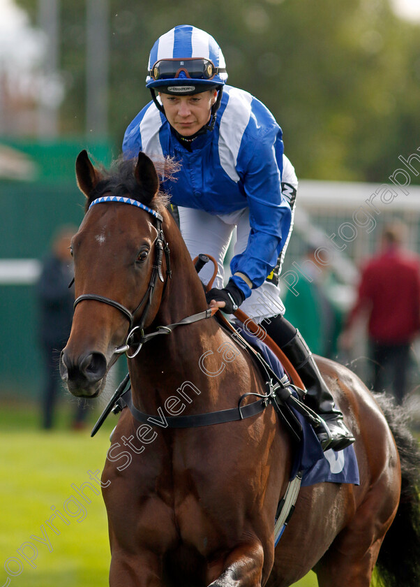 Muttasil-0001 
 MUTTASIL (Hayley Turner)
Yarmouth 16 Oct 2023 - Pic Steven Cargill / Racingfotos.com