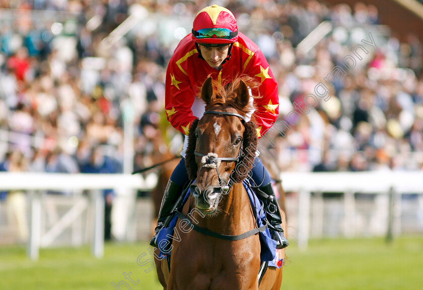 Wise-Eagle-0001 
 WISE EAGLE (Ben Robinson)
York 24 Aug 2024 - Pic Steven Cargill / Racingfotos.com