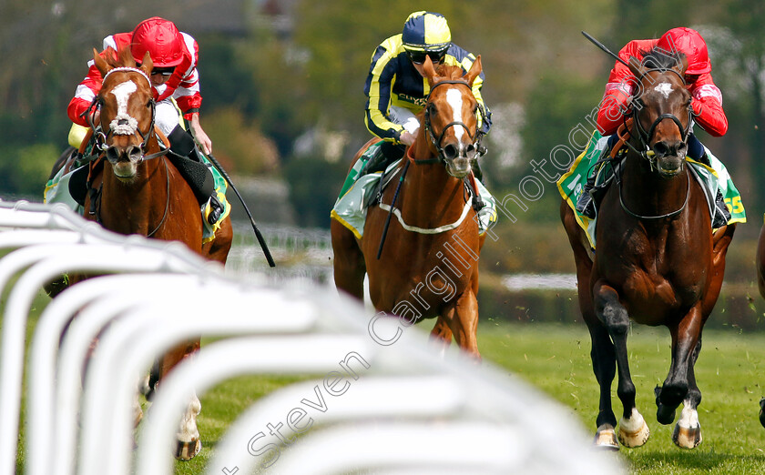 Hand-Of-God-0003 
 HAND OF GOD (left, Ryan Moore) beats CRACKING GOLD (centre) and BLUE LEMONS (right) in The bet365 Esher Cup
Sandown 26 Apr 2024 - Pic Steven Cargill / Racingfotos.com