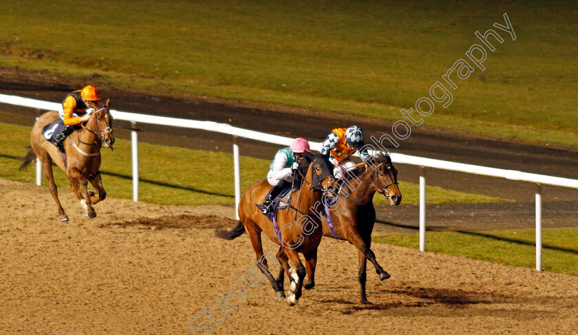 Star-Archer-0002 
 STAR ARCHER (centre, Josephine Gordon) beats SAM MISSILE (right) in The Betway Novice Stakes Wolverhampton 15 Jan 2018 - Pic Steven Cargill / Racingfotos.com