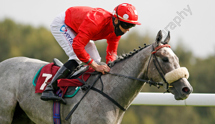 Shepherds-Way-0008 
 SHEPHERDS WAY (Clifford Lee) wins The Betfair Exchange Handicap
Haydock 4 Sep 2020 - Pic Steven Cargill / Racingfotos.com