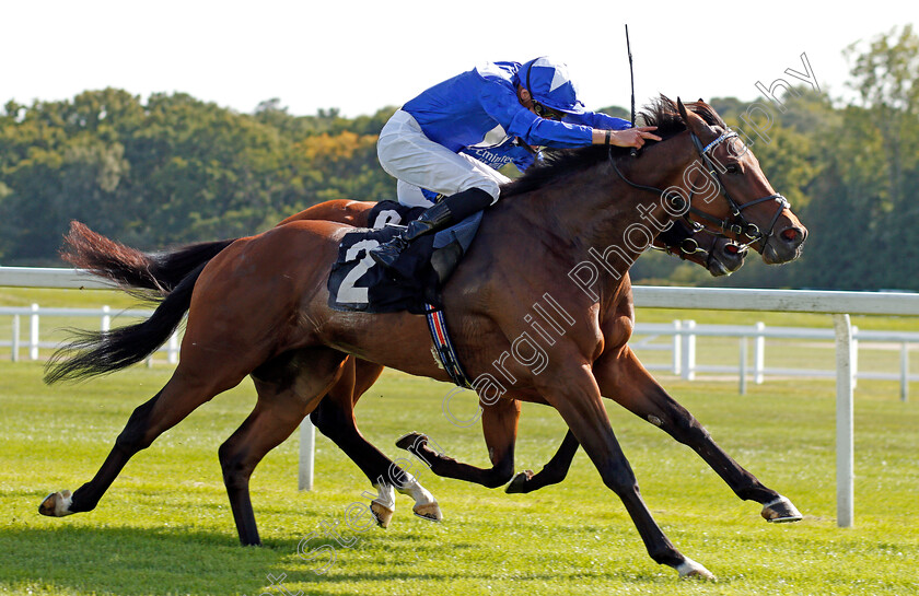 Humanitarian-0005 
 HUMANITARIAN (James Doyle) wins The Dubai Duty Free Handicap
Newbury 18 Sep 2020 - Pic Steven Cargill / Racingfotos.com