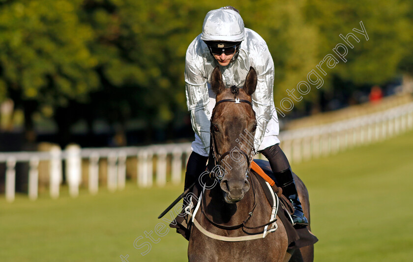 Secret-World-0001 
 SECRET WORLD (Richard Kingscote)
Newmarket 28 Jun 2024 - Pic Steven Cargill / Racingfotos.com