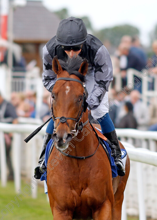 Lucky-Man 
 LUCKY MAN (William Buick)
York 11 Jun 2022 - Pic Steven Cargill / Racingfotos.com