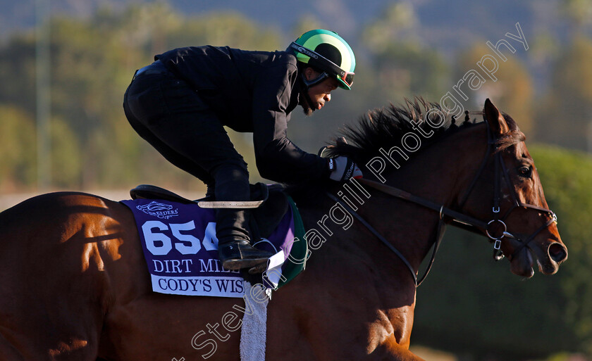 Cody s-Wish-0003 
 CODY'S WISH training for the Breeders' Cup Dirt Mile
Santa Anita USA, 1 Nov 2023 - Pic Steven Cargill / Racingfotos.com