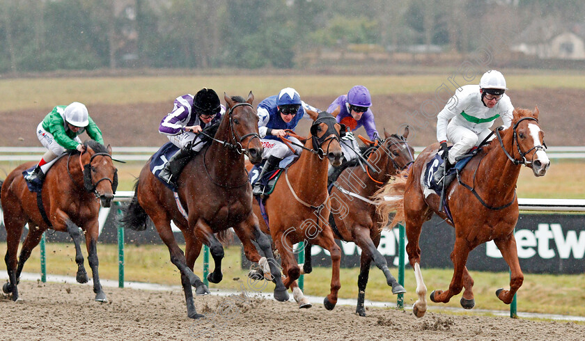 Utmost-0004 
 UTMOST (Robert Havlin) beats VICTORY BOND (left) in The Betway Winter Derby Trial Stakes Lingfield 3 Feb 2018 - Pic Steven Cargill / Racingfotos.com