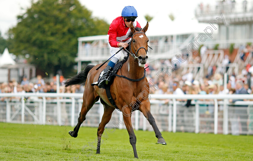 Peripatetic-0002 
 PERIPATETIC (William Buick) wins The City Of Chichester Fillies Handicap
Goodwood 28 Aug 2022 - Pic Steven Cargill / Racingfotos.com