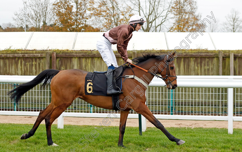 Bon-Retour-0001 
 BON RETOUR (Tom Midgley)
Warwick 22 Nov 2023 - Pic Steven Cargill / Racingfotos.com