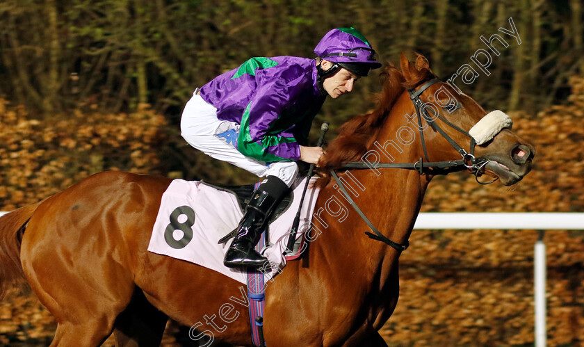 Venus-Slipper-0001 
 VENUS SLIPPER (Luke Morris)
Kempton 14 Feb 2024 - Pic Steven Cargill / Racingfotos.com