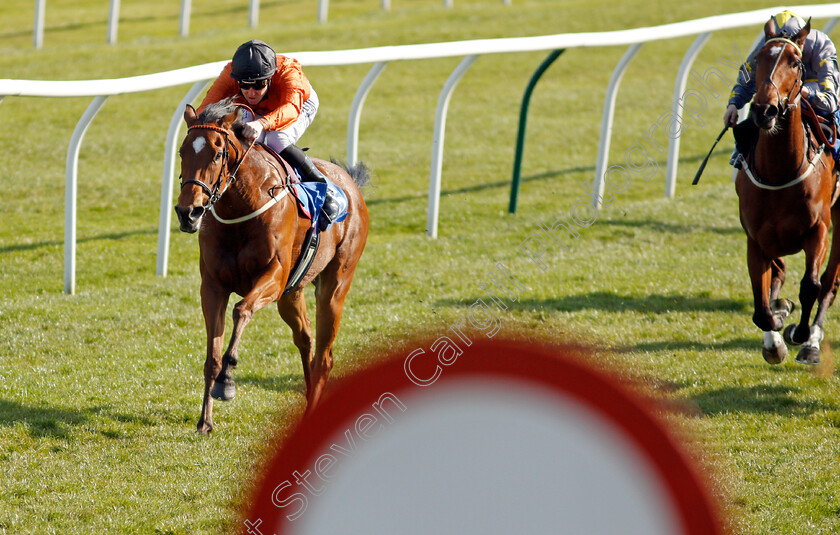 Kingmania-0003 
 KINGMANIA (Pat Cosgrave) wins The leicester-racecourse.co.uk Handicap
Leicester 24 Apr 2021 - Pic Steven Cargill / Racingfotos.com