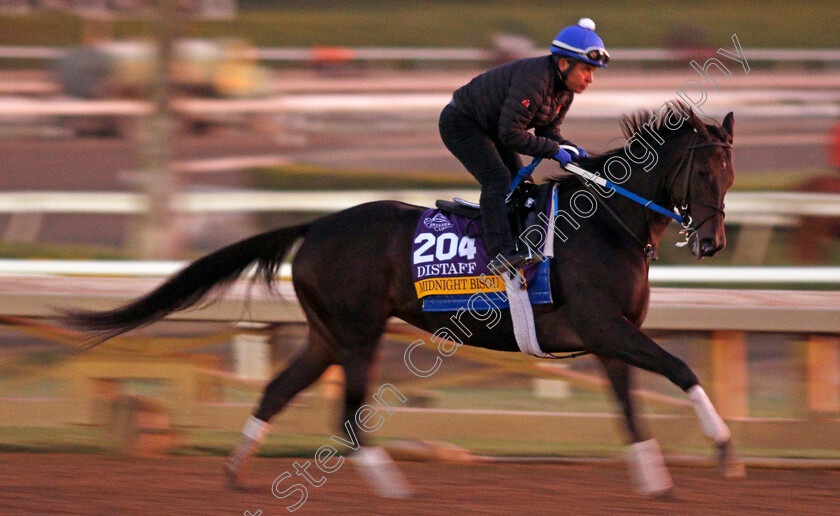 Midnight-Bisou-0001 
 MIDNIGHT BISOU training for The Breeders' Cup Distaff
Santa Anita USA 31 Oct 2019 - Pic Steven Cargill / Racingfotos.com