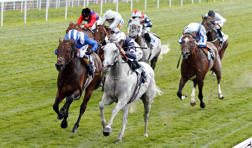 Lord-Glitters-0002 
 LORD GLITTERS (right, Daniel Tudhope) beats MUSTASHRY (left) in The Sky Bet & Symphony Group Strensall Stakes
York 25 Aug 2018 - Pic Steven Cargill / Racingfotos.com