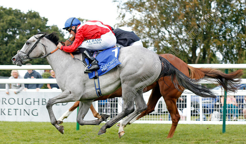 Dark-Lady-0007 
 DARK LADY (Pat Dobbs) wins The Shadwell Dick Poole Stakes
Salisbury 5 Sep 2019 - Pic Steven Cargill / Racingfotos.com