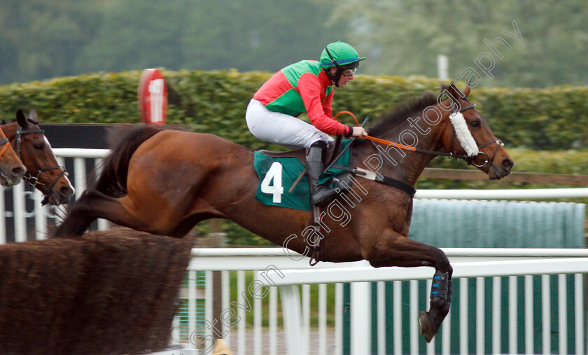 Jack-Snipe-0002 
 JACK SNIPE (Shane Quinlan)
Cheltenham 3 May 2019 - Pic Steven Cargill / Racingfotos.com