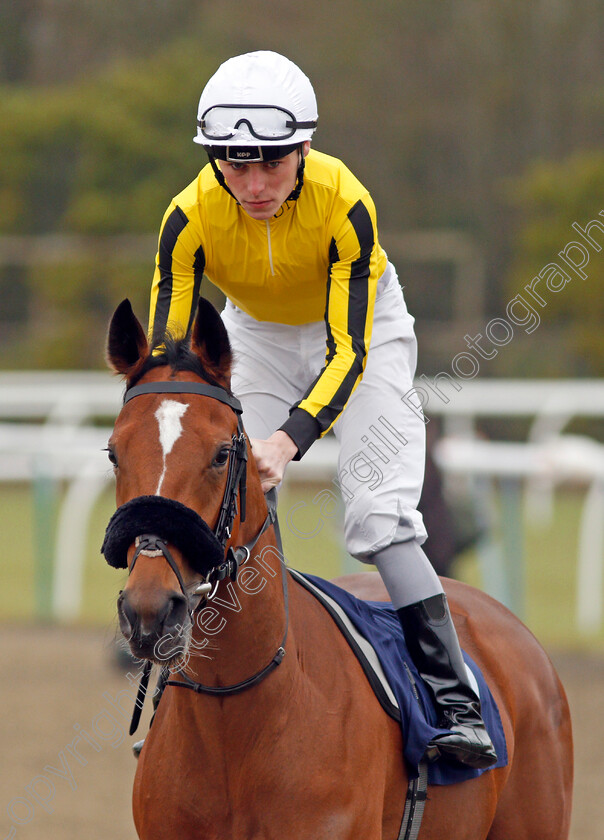 Marilyn-M-0002 
 MARILYN M (Kieran Shoemark) Lingfield 20 Dec 2017 - Pic Steven Cargill / Racingfotos.com