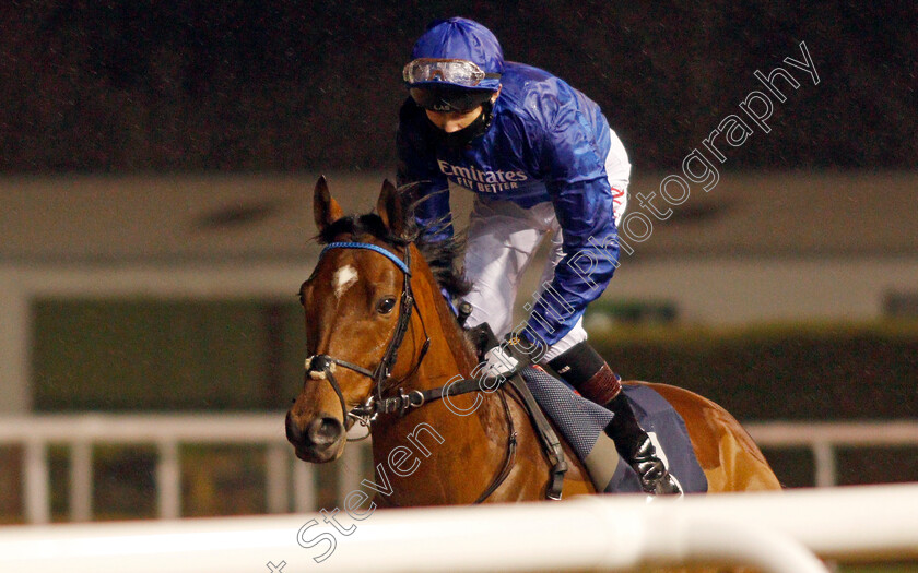 Forest-Of-Dean-0002 
 FOREST OF DEAN (Robert Havlin)
Wolverhampton 11 Jan 2021 - Pic Steven Cargill / Racingfotos.com