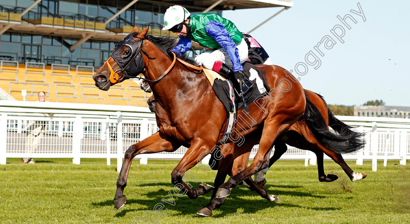 Jimmy-Sparks-0002 
 JIMMY SPARKS (Oisin Murphy) wins The Dubai Duty Free Nursery
Newbury 18 Sep 2020 - Pic Steven Cargill / Racingfotos.com