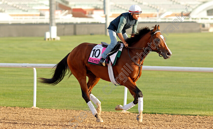 Gilded-Age-0001 
 GILDED AGE training for The UAE Derby
Meydan, Dubai, 24 Mar 2022 - Pic Steven Cargill / Racingfotos.com