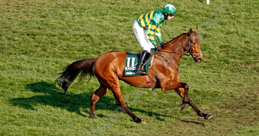 Carlingford-Lough-0001 
 CARLINGFORD LOUGH (Mark Walsh) Aintree 14 Apr 2018 - Pic Steven Cargill / Racingfotos.com