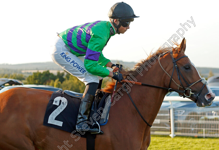 Just-Amber-0001 
 JUST AMBER (William Cox)
Goodwood 26 Aug 2022 - Pic Steven Cargill / Racingfotos.com