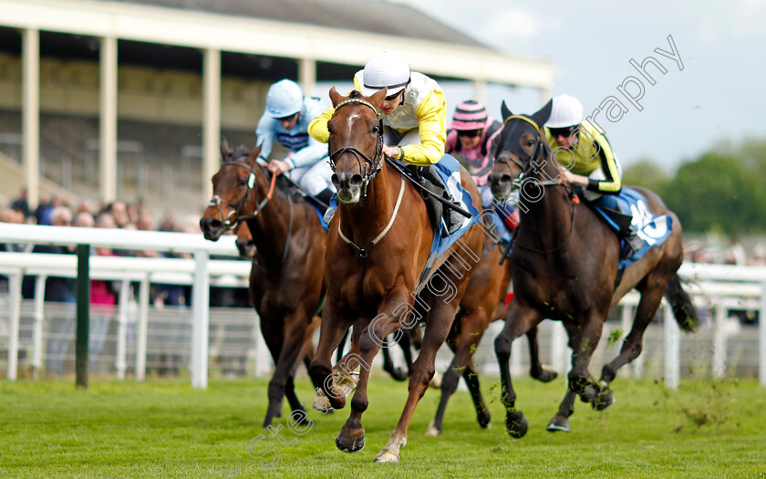 Kihavah-0003 
 KIHAVAH (Ryan Sexton) wins The Conundrum HR Consulting Handicap
York 11 May 2022 - Pic Steven Cargill / Racingfotos.com