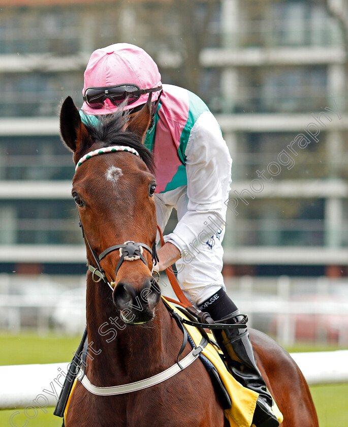 Gavota-0001 
 GAVOTA (Ryan Moore) Newbury 21 Apr 2018 - Pic Steven Cargill / Racingfotos.com