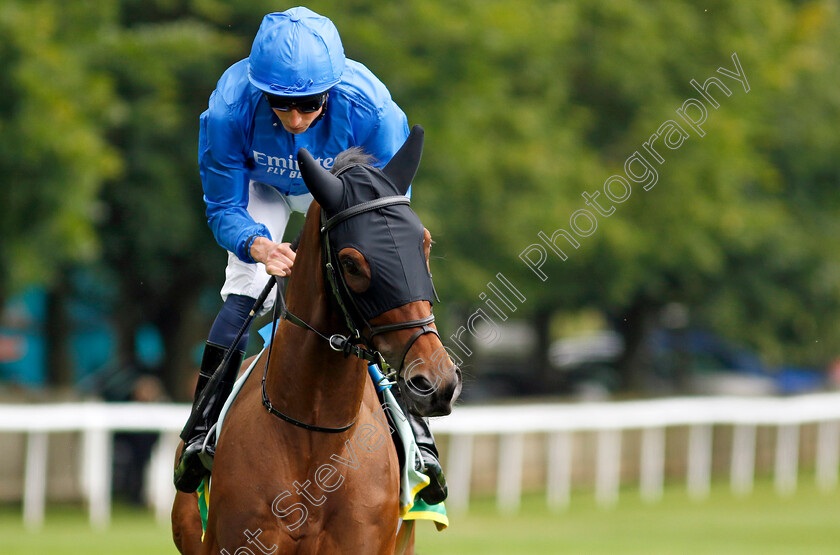 First-Conquest-0007 
 FIRST CONQUEST (William Buick) winner of The bet365 Mile Handicap
Newmarket 13 Jul 2024 - Pic Steven Cargill / Racingfotos.com