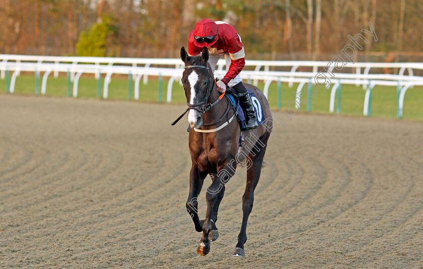 Tornequeta-May-0001 
 TORNEQUETA MAY (Patrick Mathers) Lingfield 10 Jan 2018 - Pic Steven Cargill / Racingfotos.com